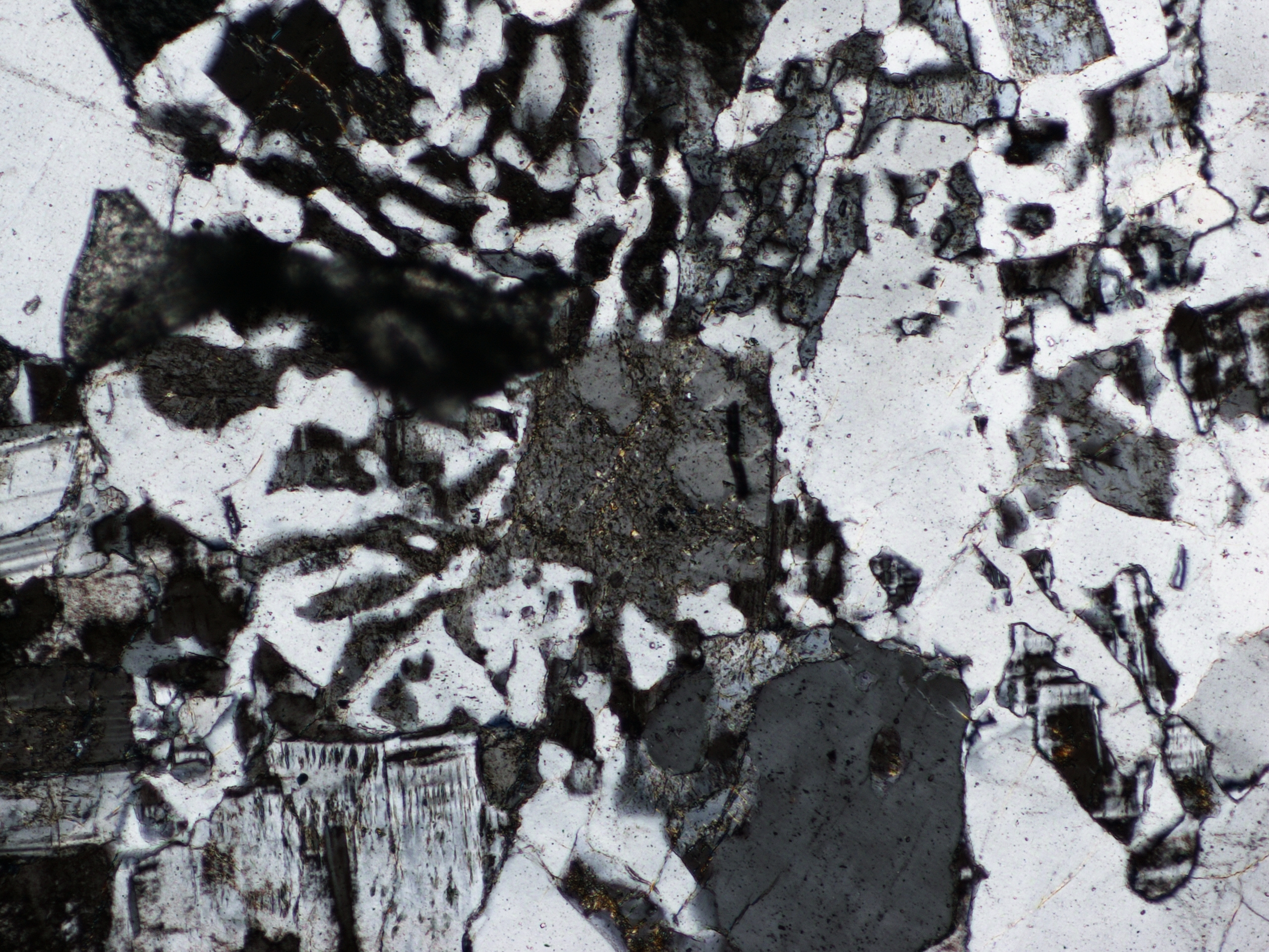 QUARTZ IN THIN SECTION