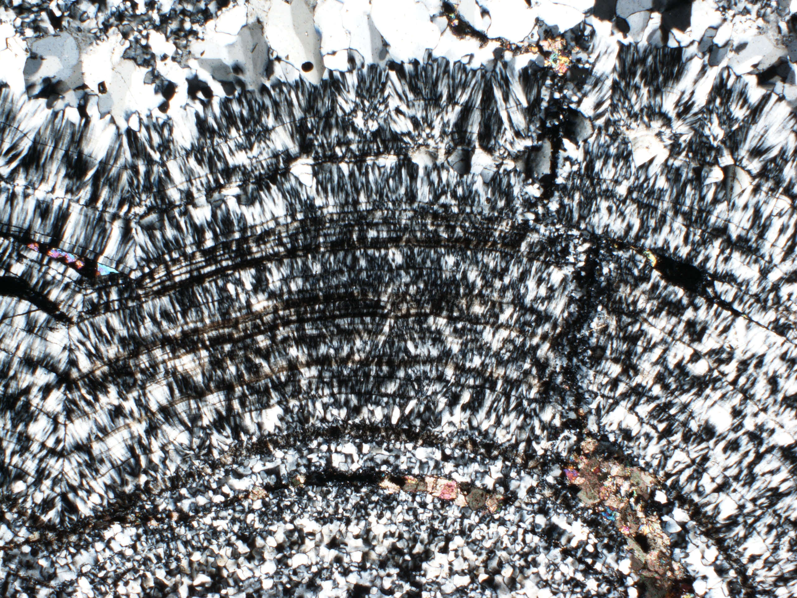 QUARTZ IN THIN SECTION
