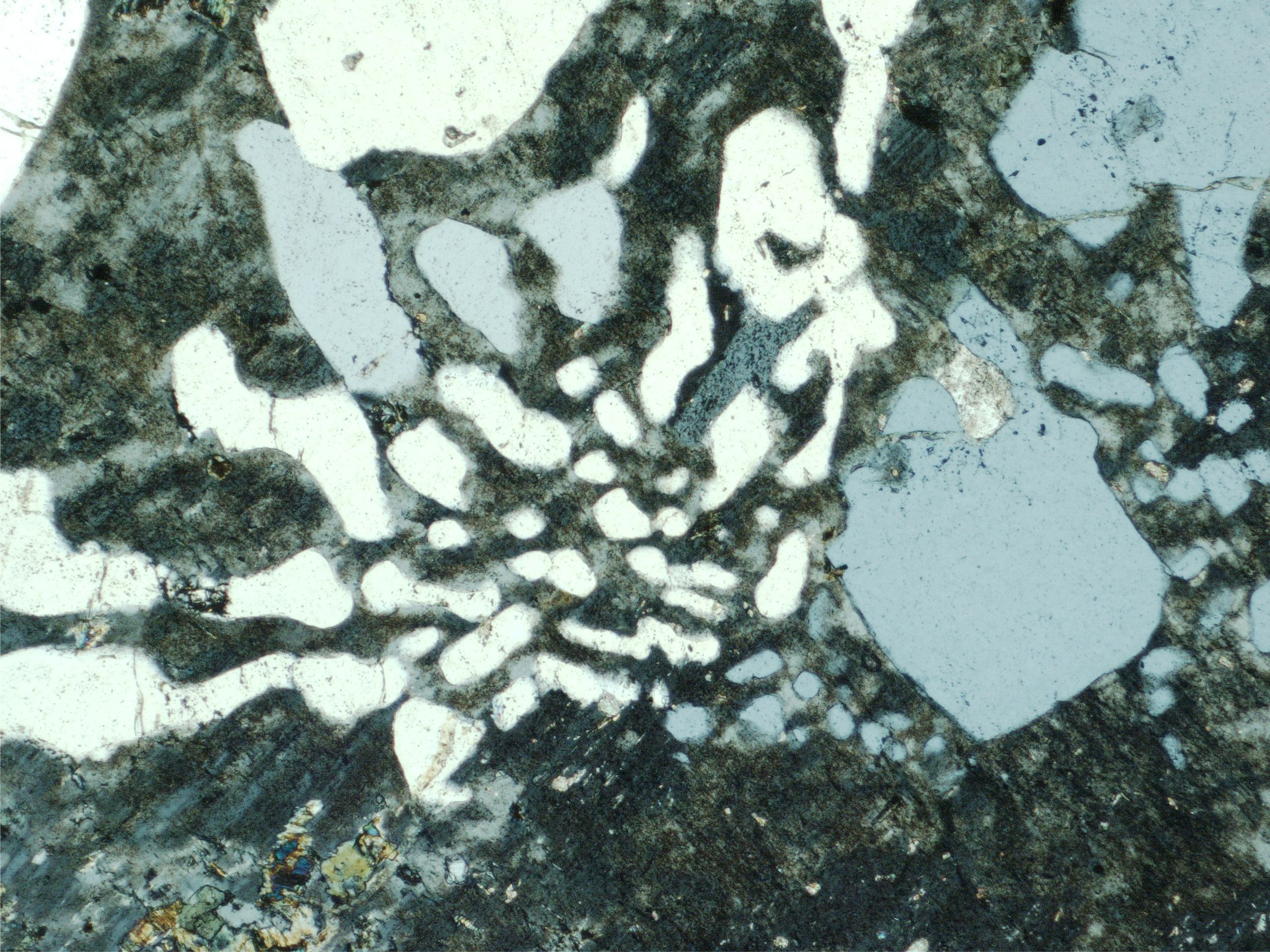 QUARTZ MYRMEKITE IN THIN SECTION