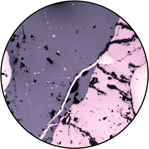 polished thin sections